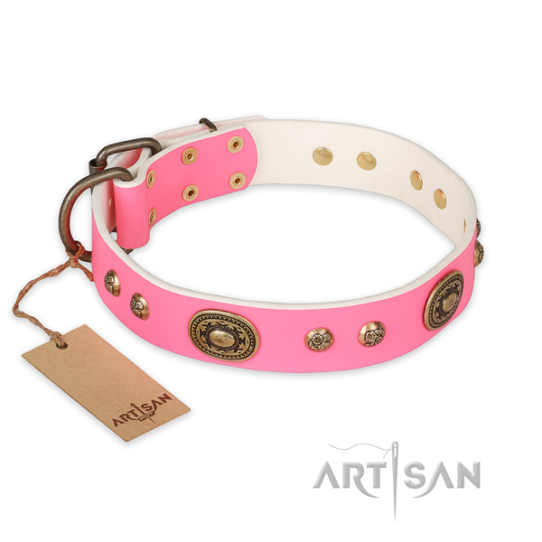 Amazing leather dog collar for basic training