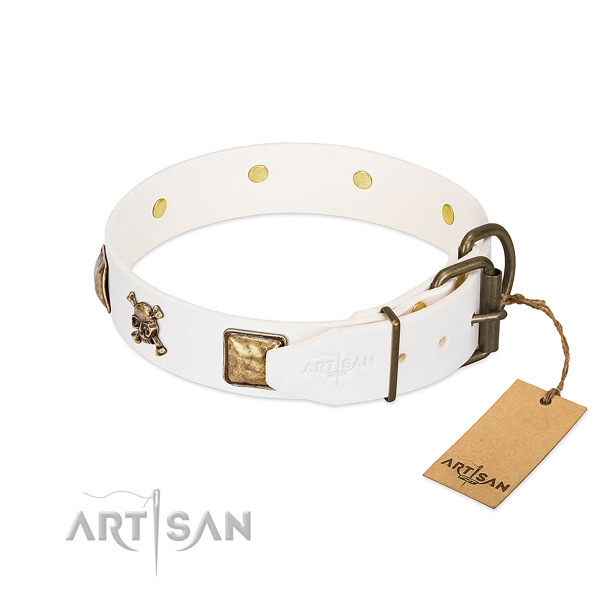 Daily walking genuine leather dog collar with stylish design embellishments