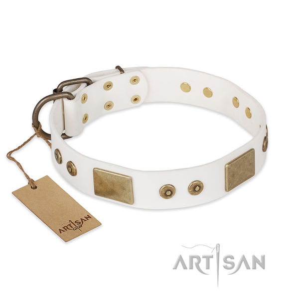Stylish design genuine leather dog collar for fancy walking