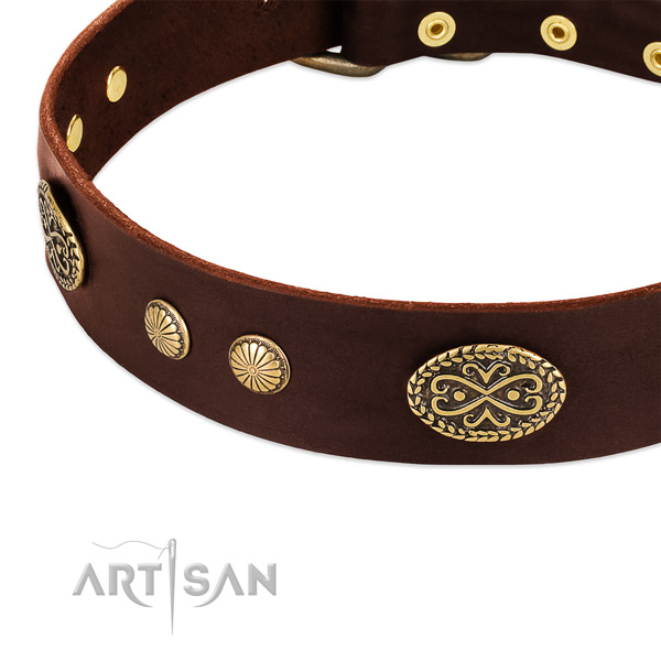 Rust resistant decorations on full grain leather dog collar for your canine
