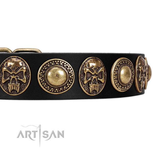 Strong decorations on genuine leather dog collar for your pet