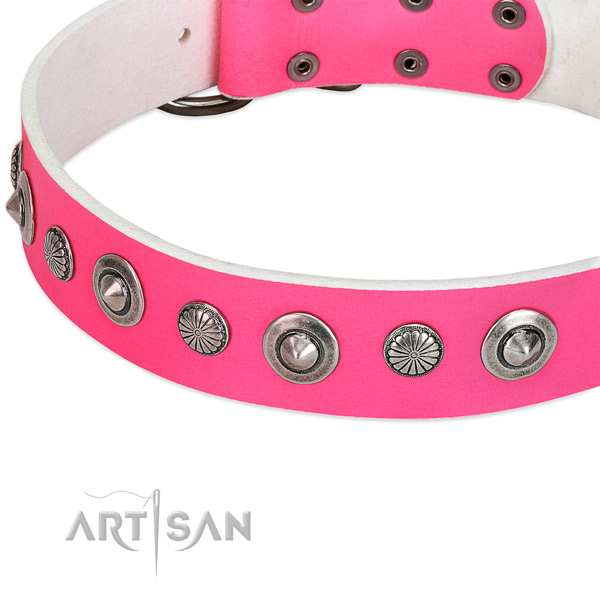 Genuine leather collar with reliable buckle for your beautiful four-legged friend