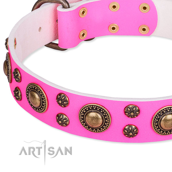 Handy use embellished dog collar of best quality full grain natural leather