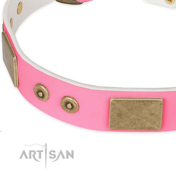 Full grain genuine leather dog collar with adornments for stylish walking