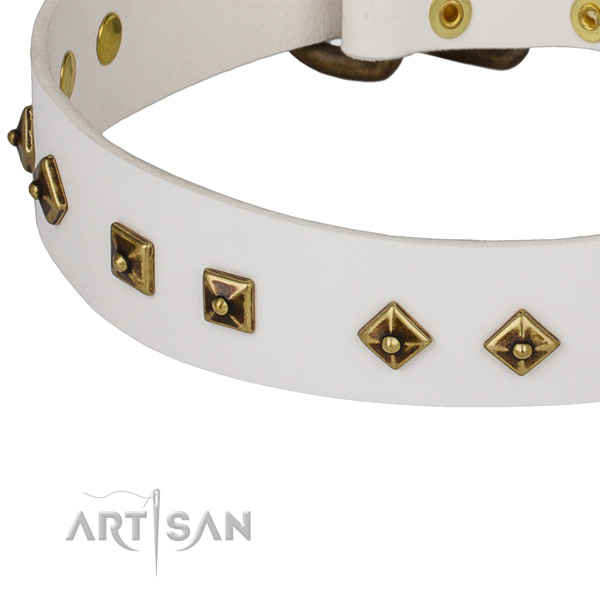 Stylish design full grain natural leather collar for your stylish canine