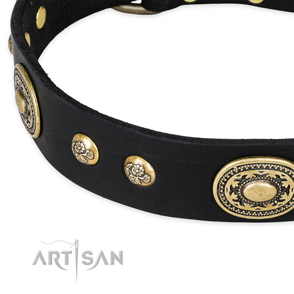 Impressive genuine leather collar for your impressive canine
