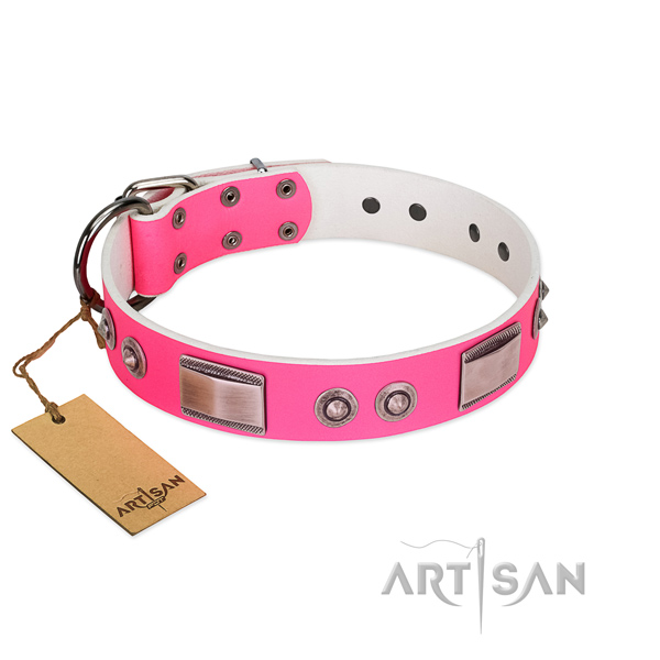Designer dog collar of leather with adornments