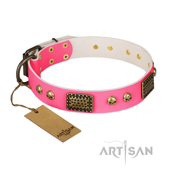 Easy to adjust full grain leather dog collar for everyday walking your canine