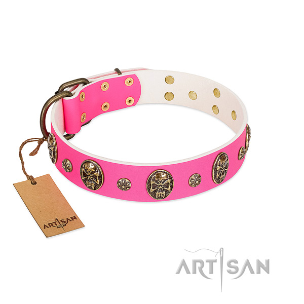 Top notch full grain leather dog collar for daily walking