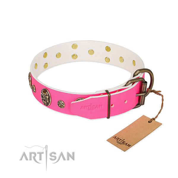 Corrosion proof traditional buckle on full grain genuine leather collar for everyday walking your doggie