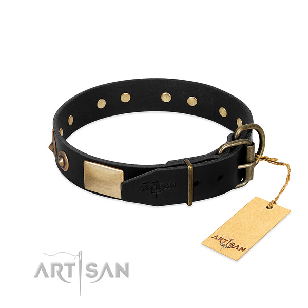 Durable embellishments on handy use dog collar