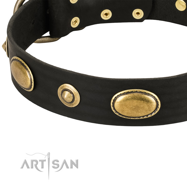 Corrosion resistant D-ring on full grain leather dog collar for your pet