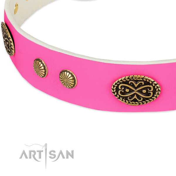 Strong adornments on genuine leather dog collar for your four-legged friend