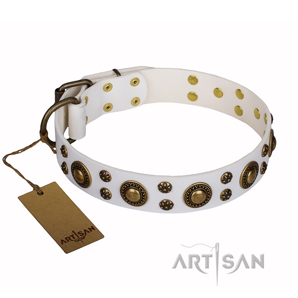 Stylish walking dog collar of best quality leather with decorations