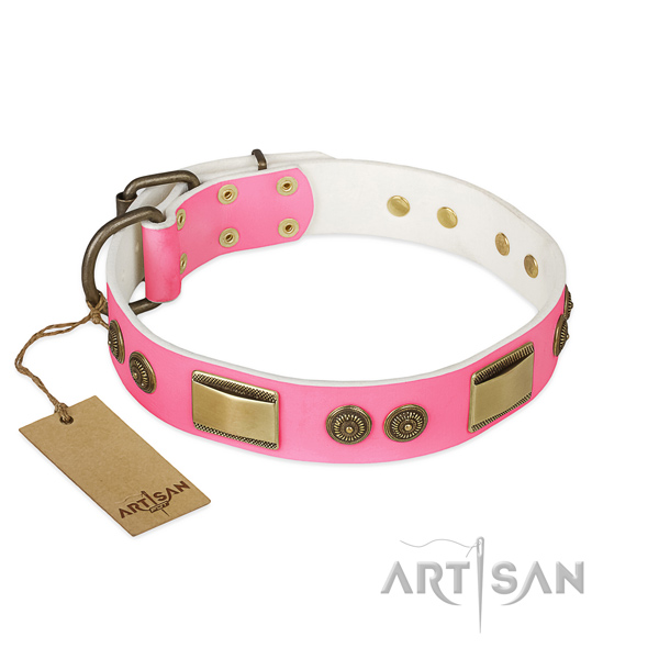 Exquisite full grain natural leather dog collar for stylish walking