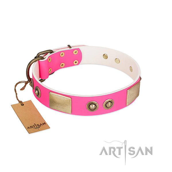 Strong fittings on full grain natural leather dog collar for your four-legged friend