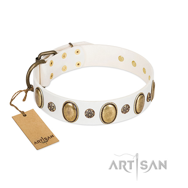 Fancy walking top rate genuine leather dog collar