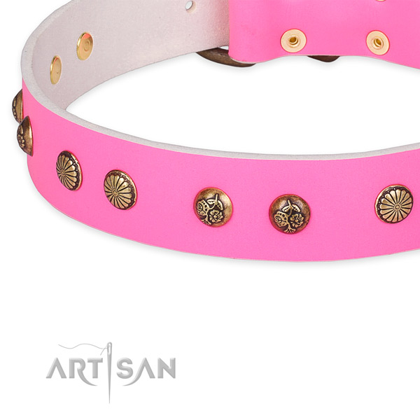 Leather collar with durable D-ring for your stylish four-legged friend