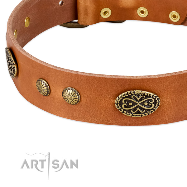 Reliable hardware on genuine leather dog collar for your four-legged friend