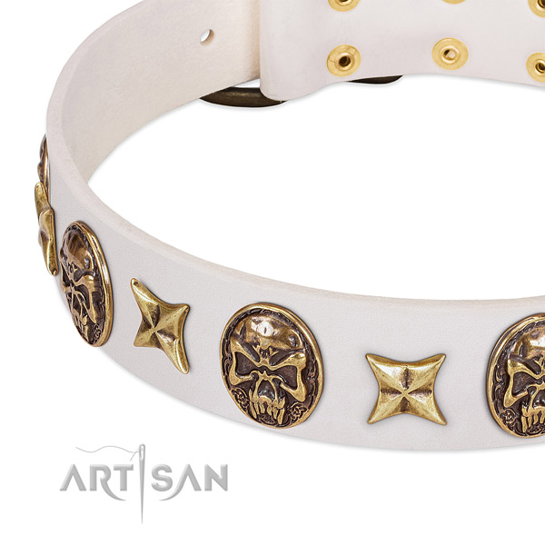 Full grain natural leather dog collar with reliable hardware