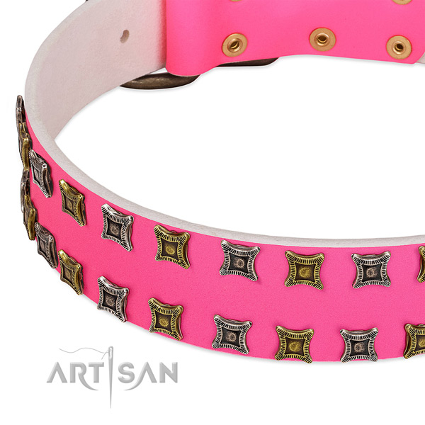 Full grain genuine leather dog collar with stylish design studs