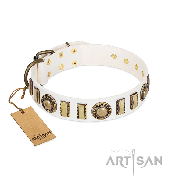 Stylish design full grain genuine leather dog collar with durable fittings