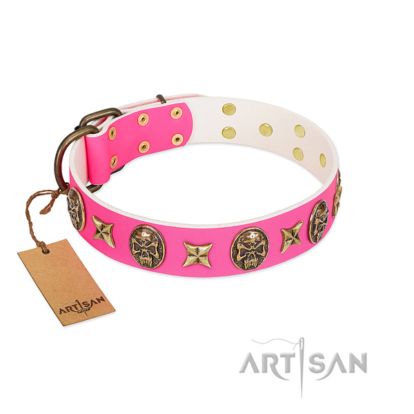 Full grain leather dog collar with rust resistant adornments