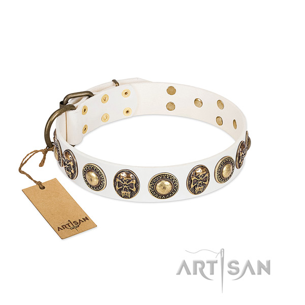 Easy to adjust full grain leather dog collar for basic training your doggie