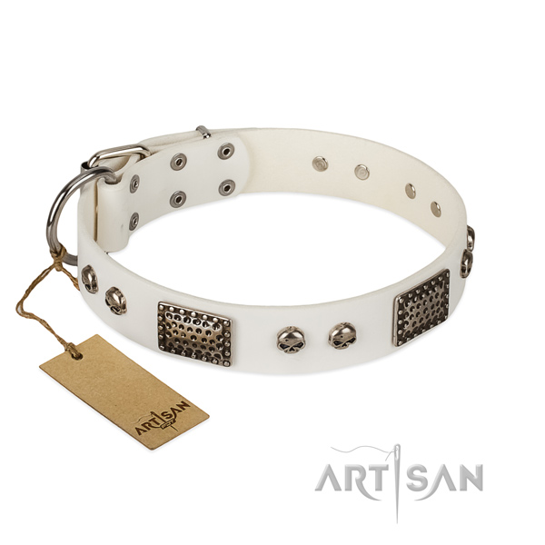 Adjustable full grain genuine leather dog collar for everyday walking your four-legged friend