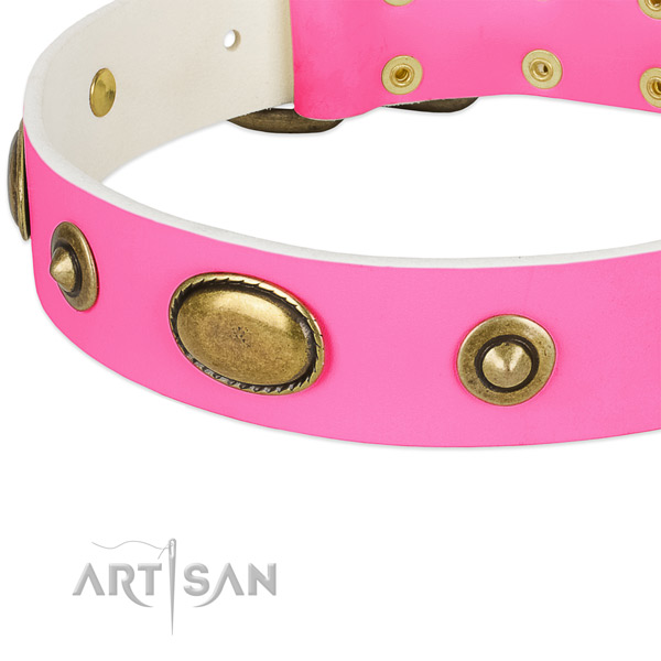 Corrosion proof studs on genuine leather dog collar for your pet