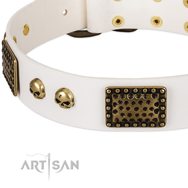 Corrosion proof fittings on leather dog collar for your canine