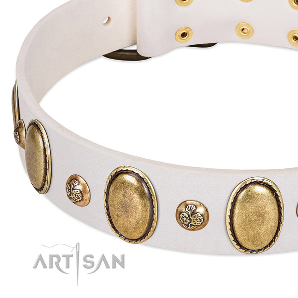 Natural leather dog collar with significant adornments