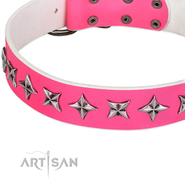 Stylish walking embellished dog collar of top quality full grain genuine leather