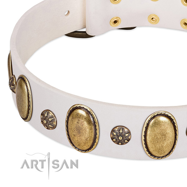 Daily walking soft genuine leather dog collar