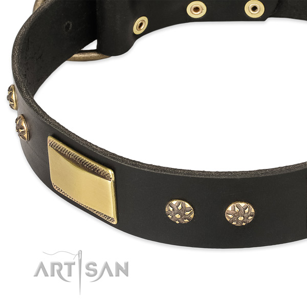 Rust-proof studs on full grain natural leather dog collar for your dog