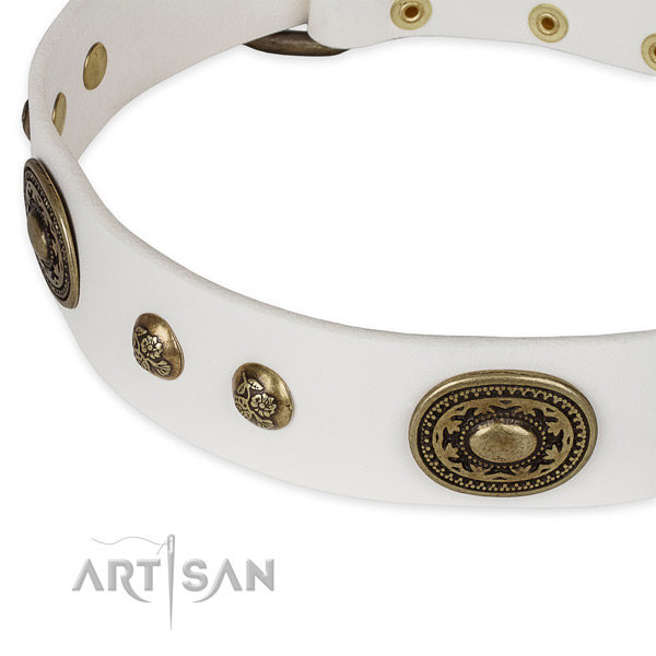 Fashionable genuine leather collar for your impressive canine