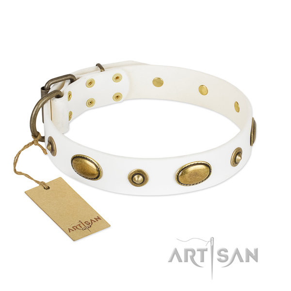 Top quality full grain leather collar for your four-legged friend