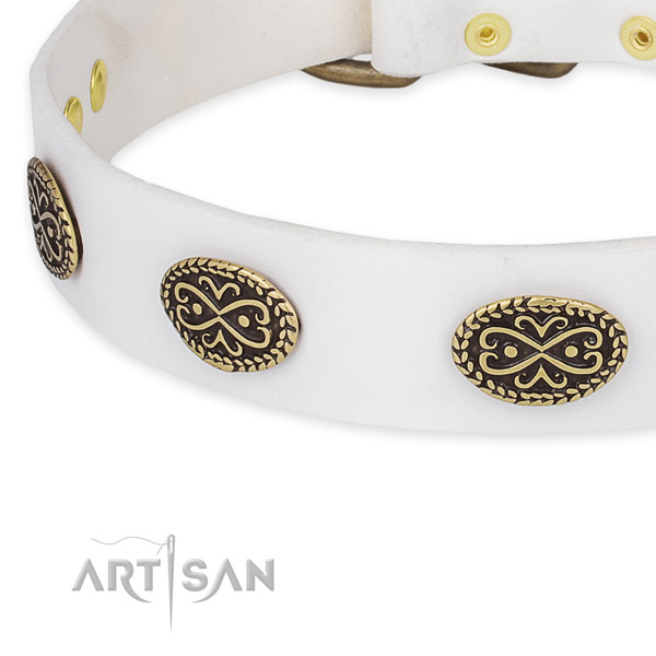 Fashionable leather collar for your handsome dog