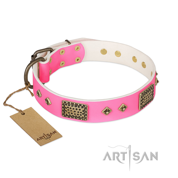 Easy to adjust full grain leather dog collar for daily walking your canine