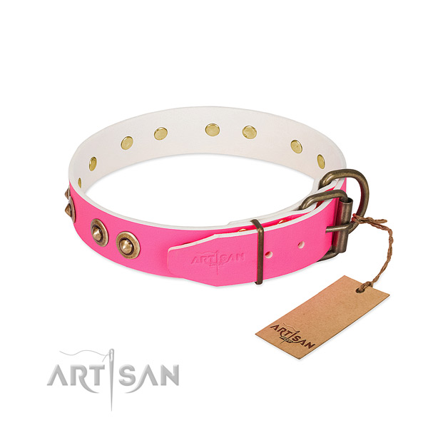 Leather dog collar with reliable hardware and decorations