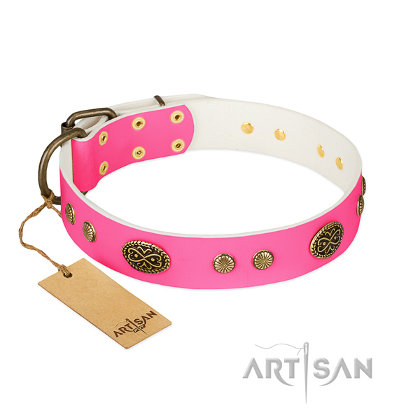 Reliable decorations on full grain natural leather dog collar for your dog