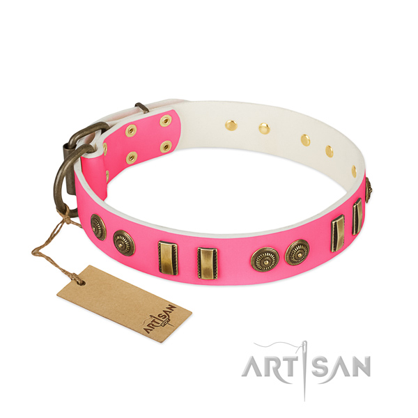 Significant leather collar for your dog