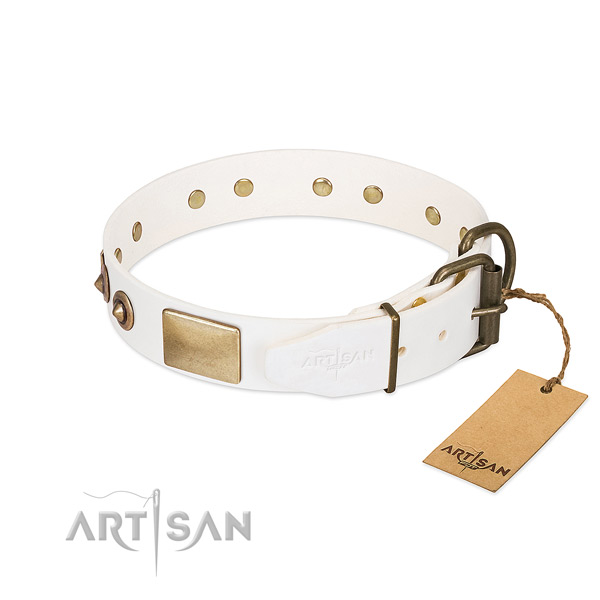 Corrosion resistant buckle on full grain natural leather dog collar for your canine