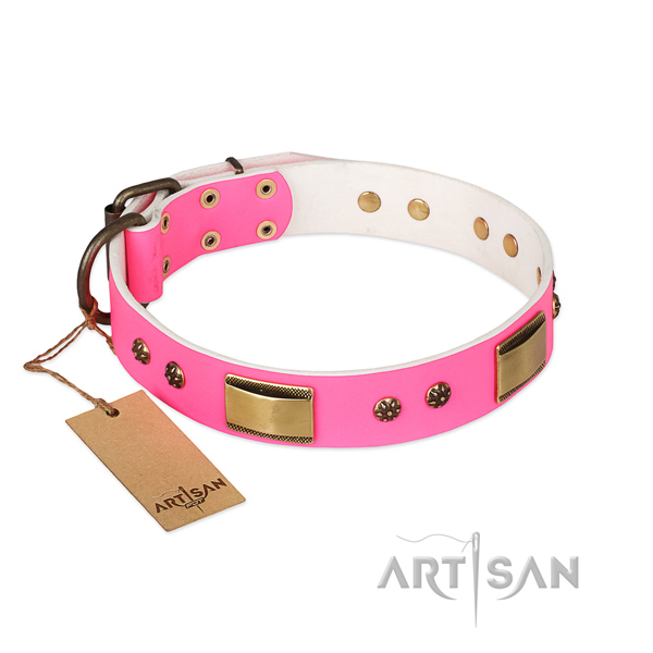 Impressive full grain genuine leather collar for your four-legged friend