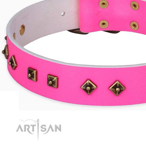 Exquisite leather collar for your impressive canine