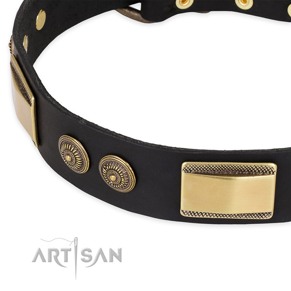 Unique genuine leather collar for your impressive pet