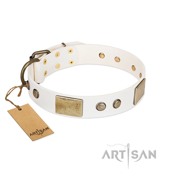 Easy adjustable leather dog collar for stylish walking your four-legged friend