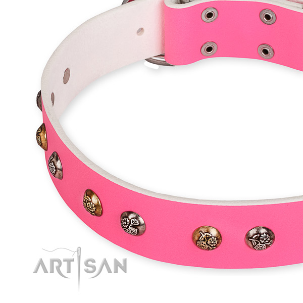 Full grain natural leather dog collar with top notch corrosion proof embellishments