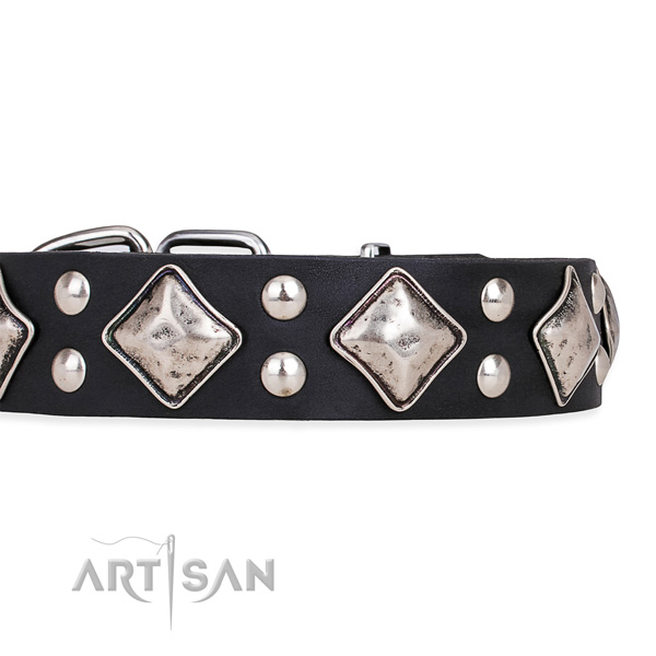 Full grain natural leather dog collar with top notch corrosion proof embellishments