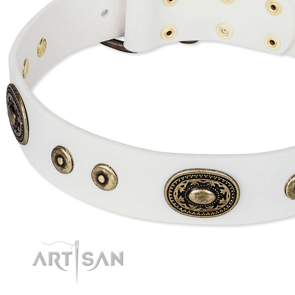 Full grain natural leather dog collar made of soft to touch material with adornments
